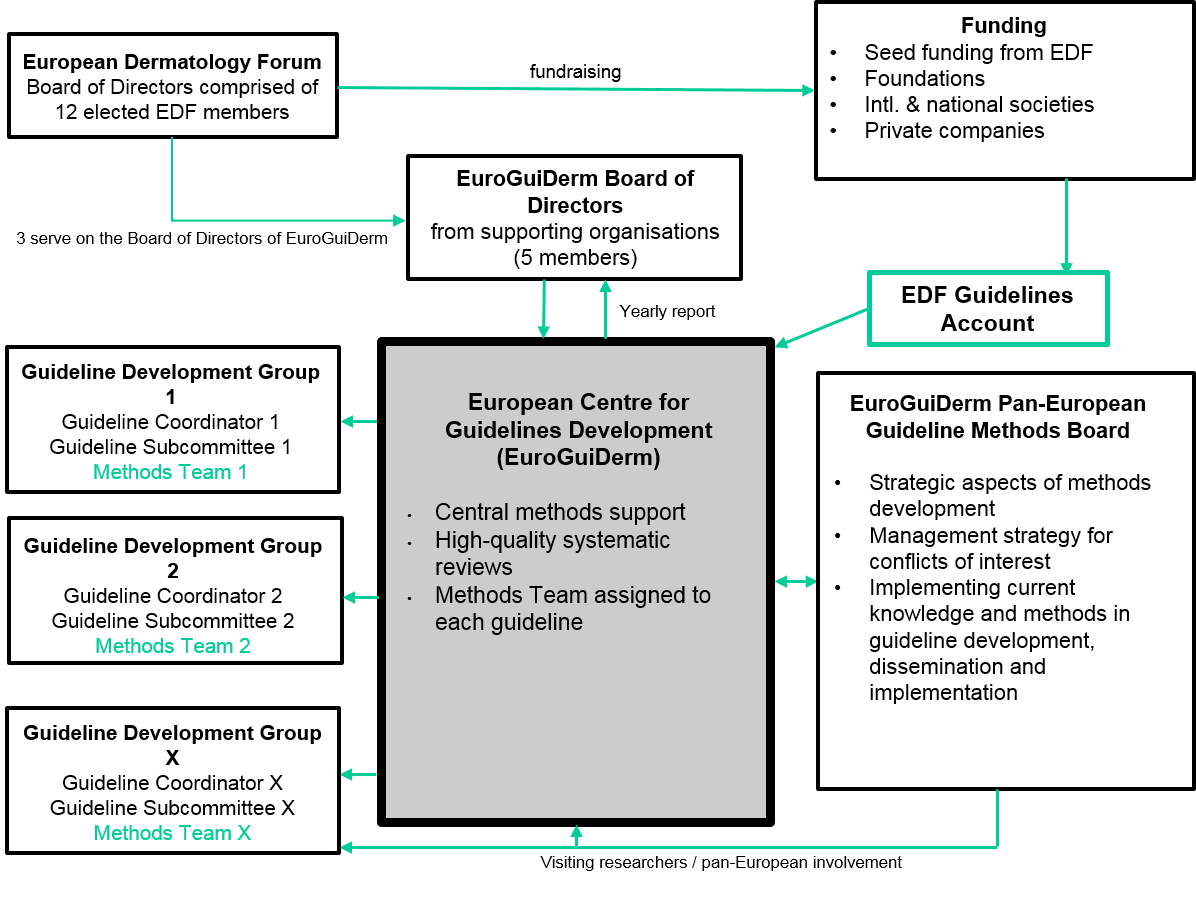 organigramm euroguiderm